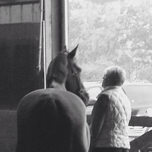 Meet your Posher, Jill